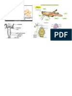 Descripción Del Proceso Inicial