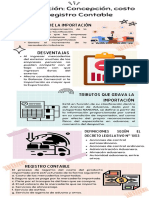 Importación Concepción, Costo y Registro Contable