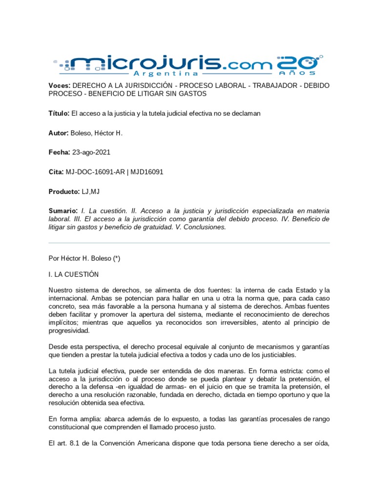 Acceso A La Justicia y Tuela Judcial Efectiva No Se Declaman | PDF ...