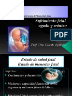 Asfixia Fetal