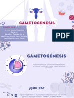 Gametogénesis