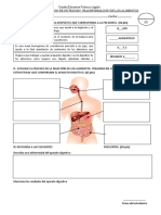 Evaluacion Del Aparato Digestivo