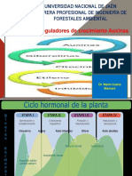 Clase 13 Reguladores de Crecimineto Auxinas