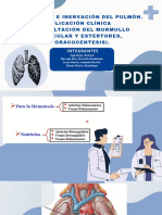 Irrigación e Inervación Del Pulmón. Aplicación Clínica (Auscultación Del Murmullo Vesicular y Estertores, Toracocentesis) .