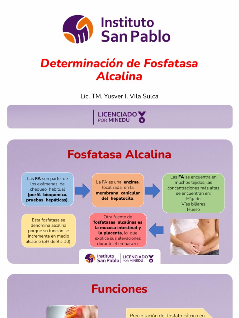 AN LISIS DE FOSFATASA ALCALINA EN SANGRE visual data 8