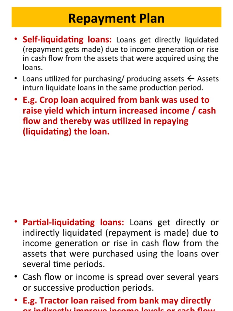 341415175-repayment-plan-pdf