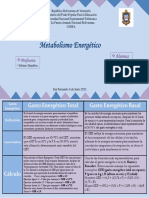 Cuadro Comparativo Alimentacion y Nutricion