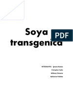 Soya Transgenica