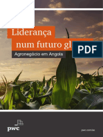 PWC Angola Agronegocio