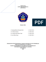 Makalah Mineral Kelompok 5