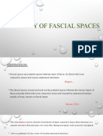 Anatomy of Fascial Spaces