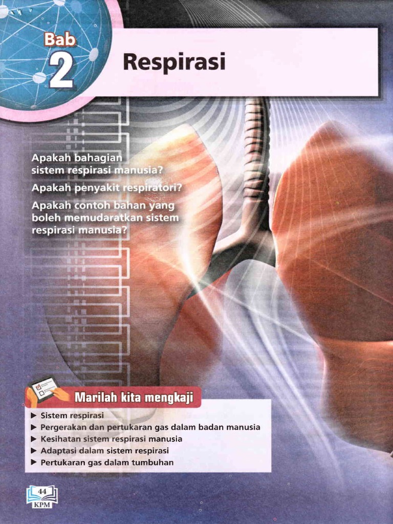 Bab 2 Respirasi | PDF
