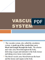 Vascular System-1 101857