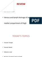 Femoral Sheath and Thigh Muscles