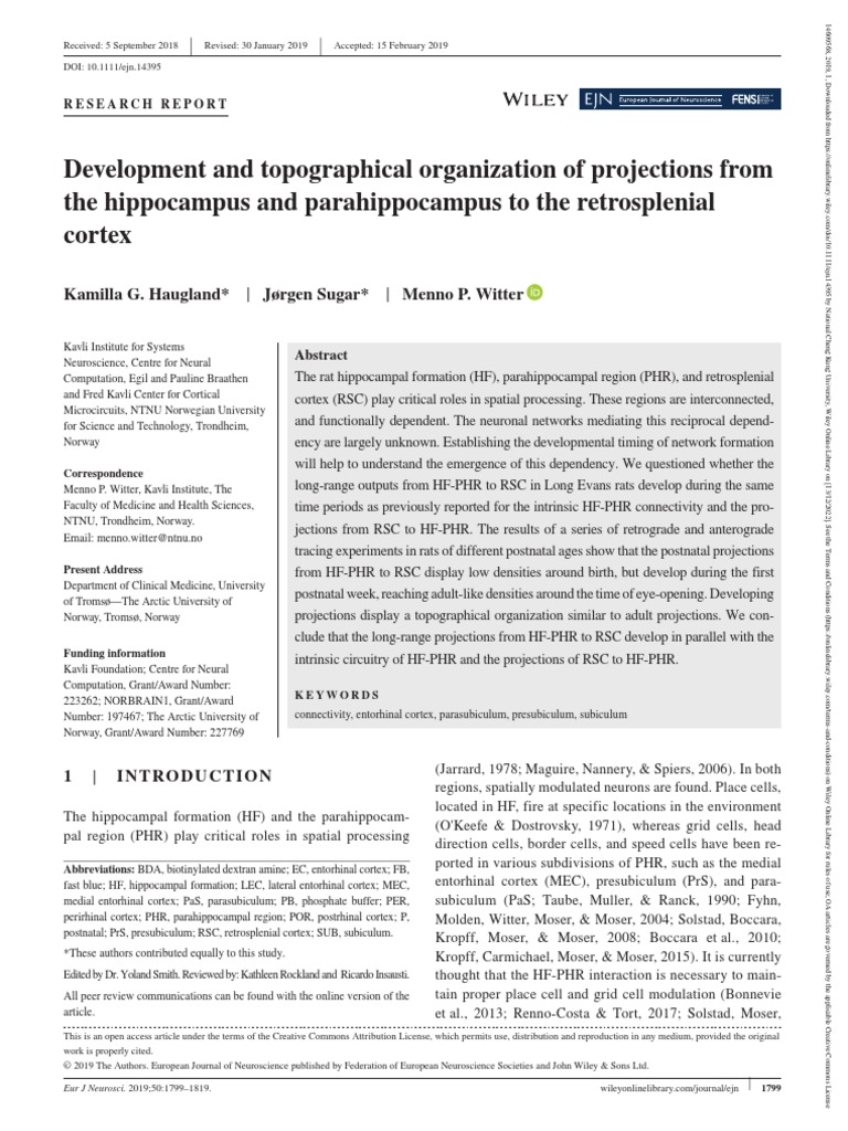 Haugland et al., 2019 PDF