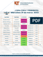 Miércoloes 29 de Marzo 2023: Rol Copa Copa Y Pendientes