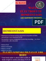 (New) Homeostasis Air - Elektrolit2019-2