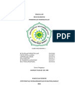 Makalah PT - Perorangan