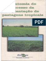 Anatomia Do Sucesso Da Implantacao de PastagensdTropical