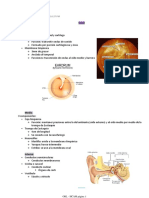 Orl - Hcam