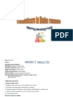 Proiect Didactic - Litera T