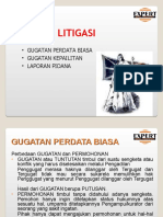 Expert 2.4. Litigasi