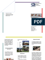 Prácticas de Manejo de Producción de Carne