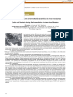 Bacterias Lácticas Durante La Fermentación Alcohólica de Vinos Mendocinos