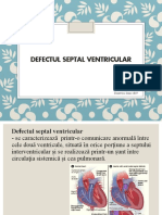 365556082-Defectul-Septal-Ventricular
