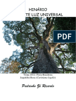 Padrinho Ze Ricardo - Fluente Luz Universal e Harmonia Cosmica - Grafica
