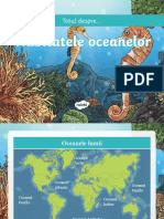 Habitatele Oceanelor Prezentare Powerpoint