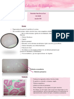 Evaluacion Del Sistema Fem, Mas y Glandulas.