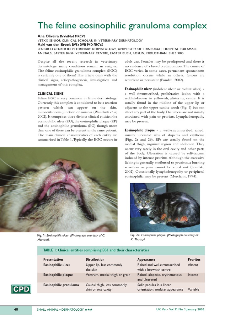 The Feline Eosinophilic Granuloma Complex Pdf Clinical Medicine