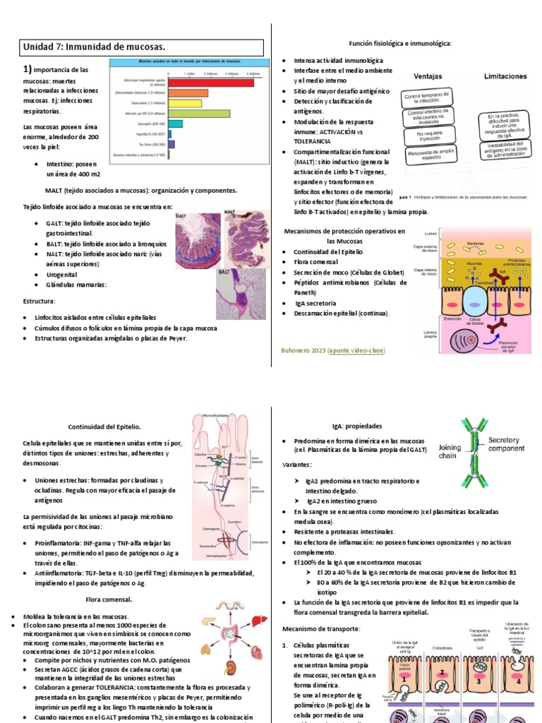 Resuemn 2do Inmuno Pdf