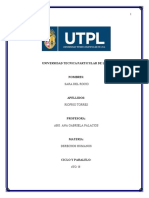 Ensayo Final de Derechos Humanos