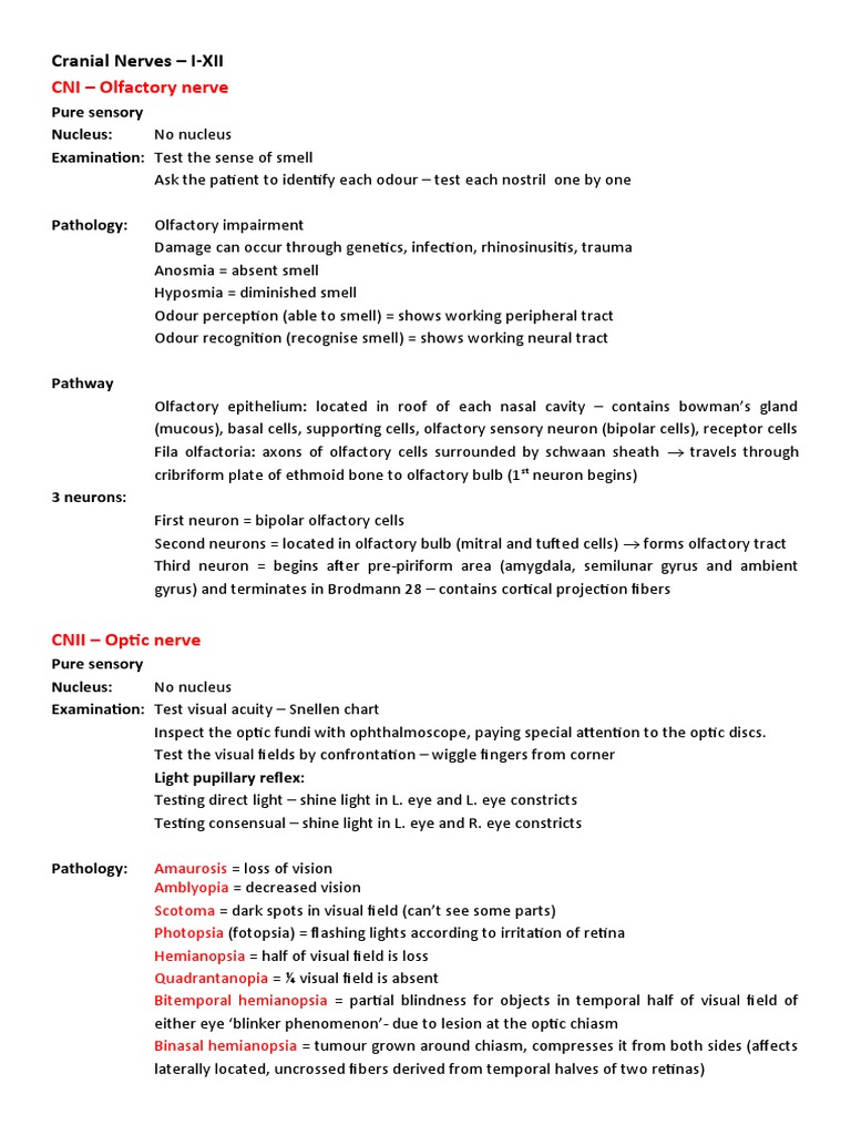 Olfactory Nerve Examination Guide | PDF | Olfactory System | Cerebellum