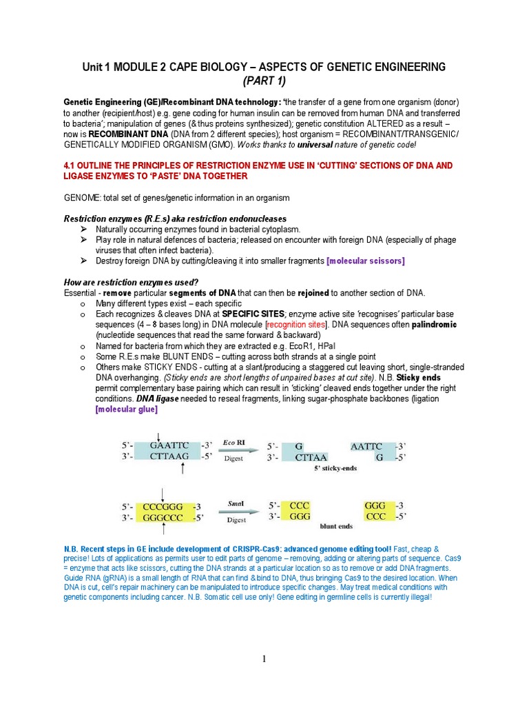 Ge Notes Part 1 2022 Pdf