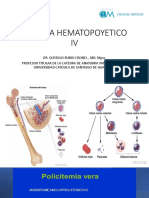 Sistema Hematopoyetico Iv