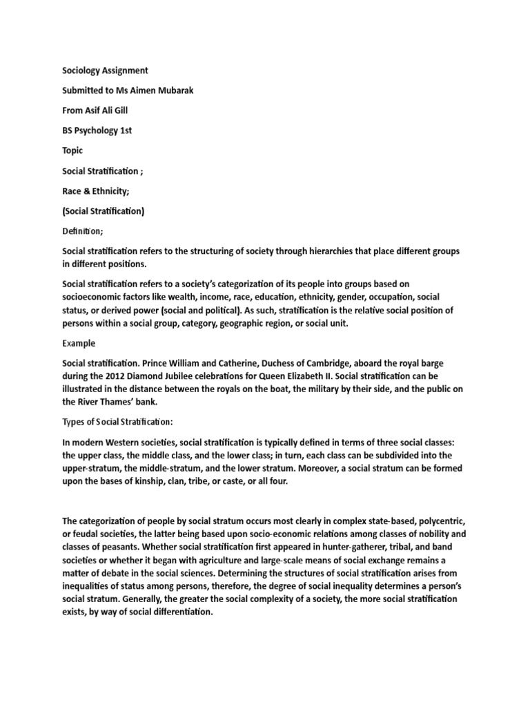 Assignment (3) Race & Ethnicity & Social Stratification | PDF | Social ...