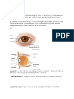 Sistema Visual.