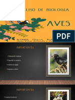 Aves