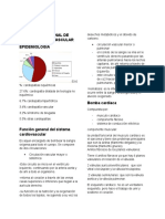 Anatomia Funcional Del Sistema Cardio Vascular