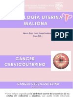 Patología Uterina Maligna