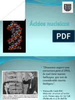 Biología Ácidos Nucleicos