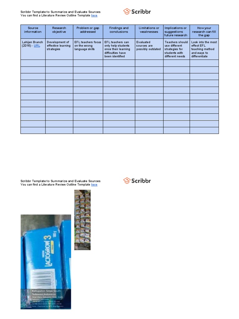 Literature Review Template PDF
