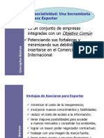 Consorcios de Exportacion