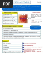 Escala Cpot | PDF