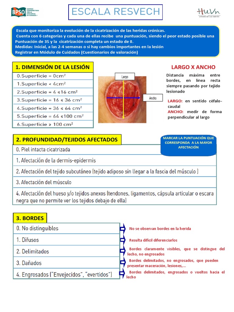 Escala resvech 2022 pdf herida epidemiolog a