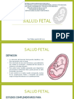 Salud Fetal