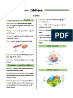 Citologia Resumo PDF